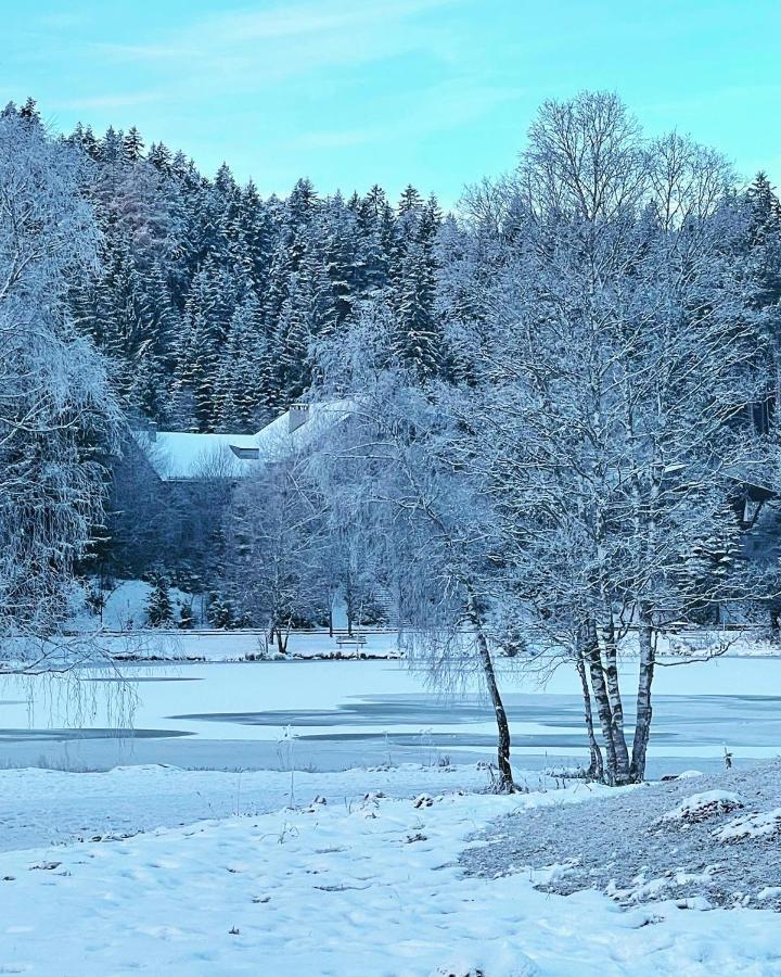 Lakeside Apartments Seefeld Seefeld in Tirol Luaran gambar
