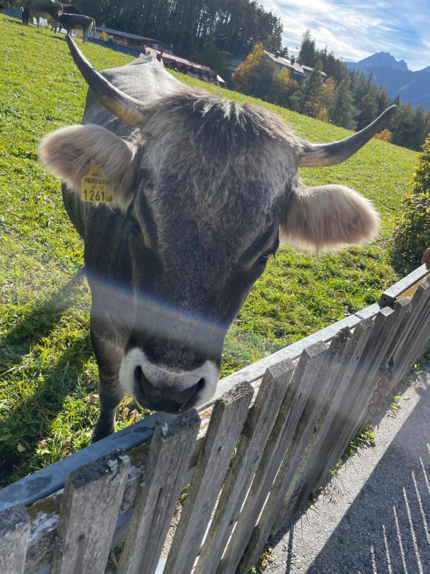 Lakeside Apartments Seefeld Seefeld in Tirol Luaran gambar